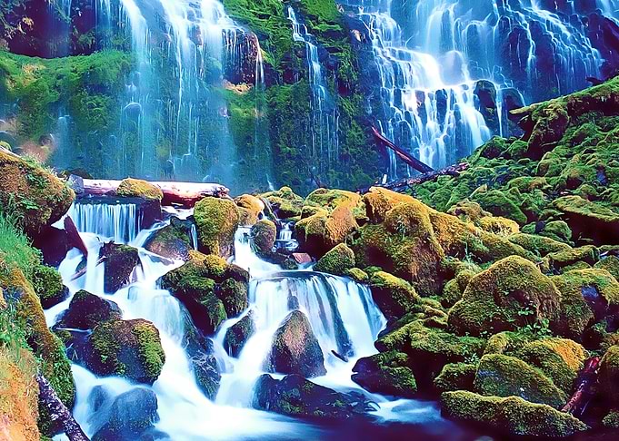 nature view