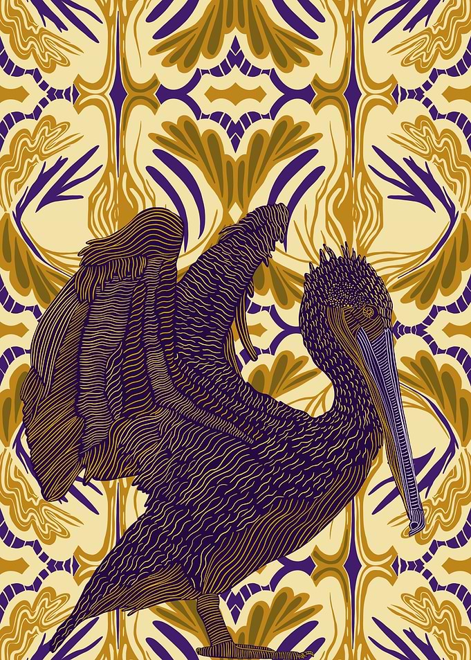 Open Winged Pelican Bird