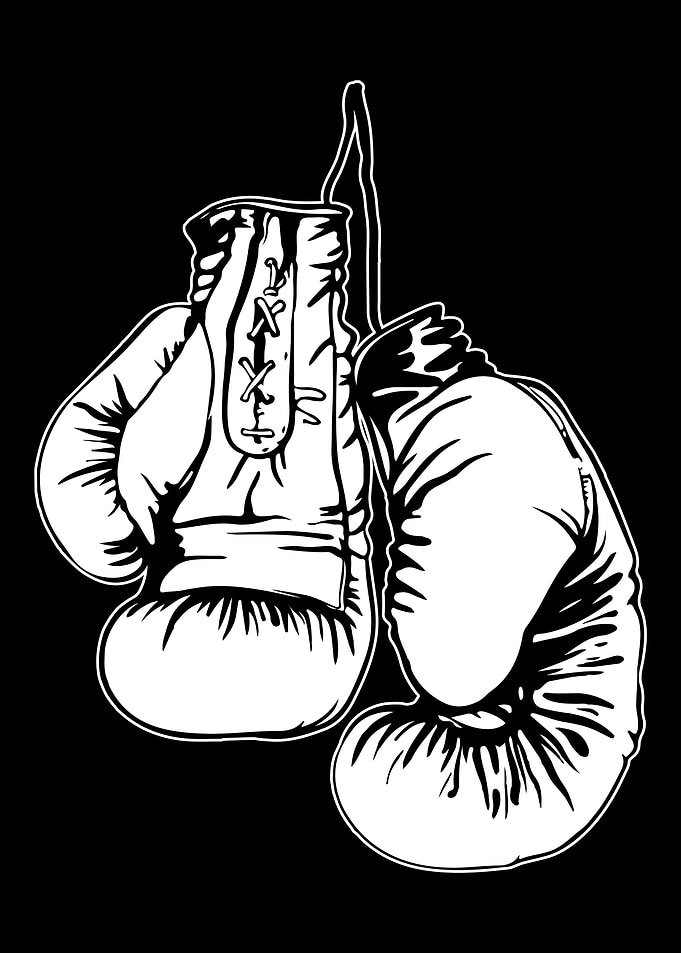 Boxing Boxer