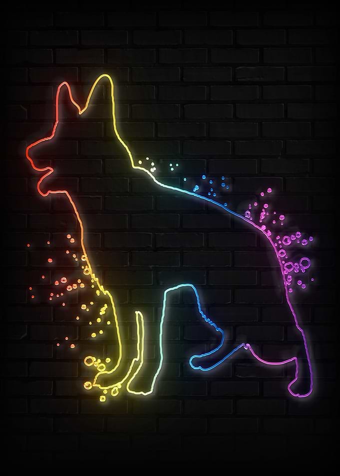 German Shepherd Dog