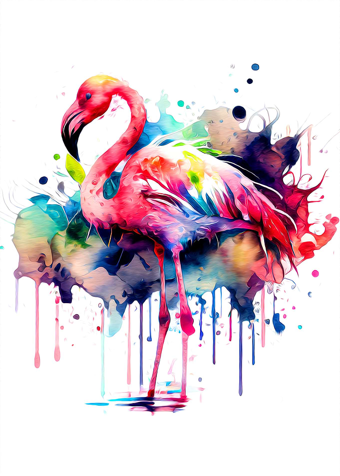 Flamingo