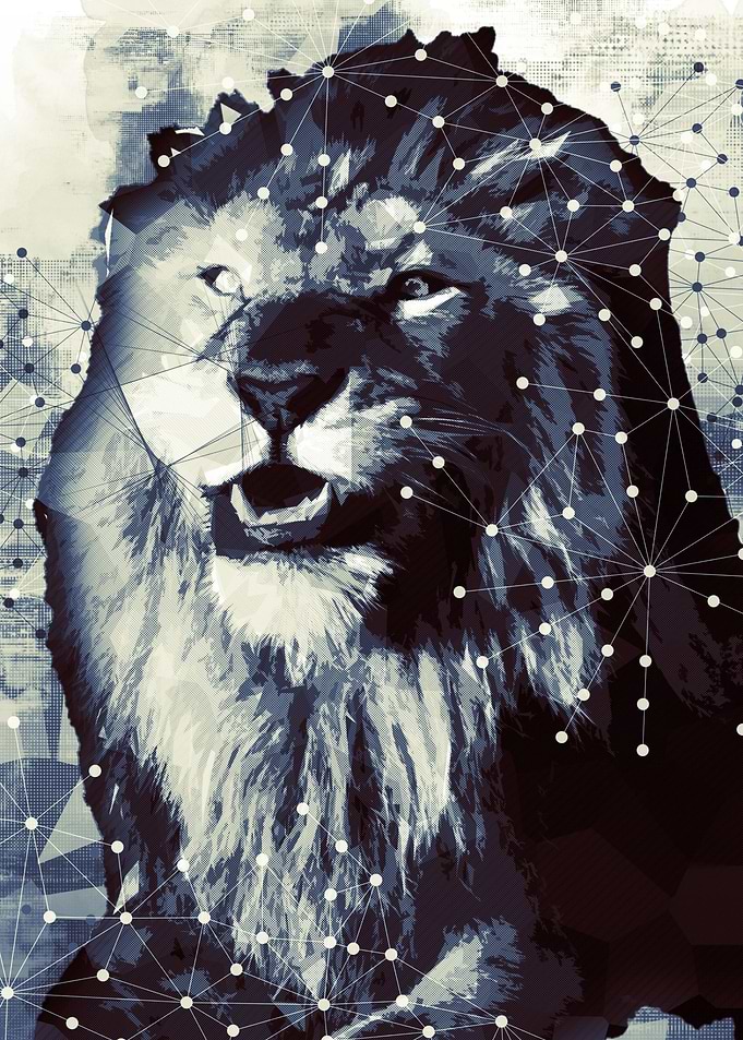 Geometric King