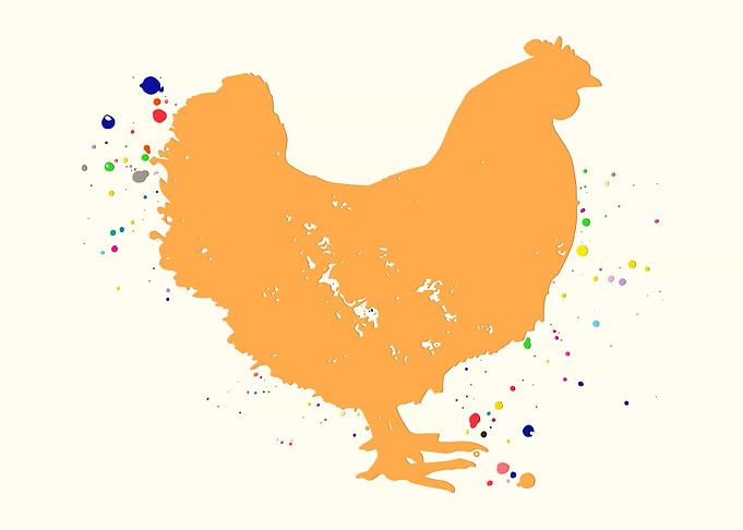 Chicken