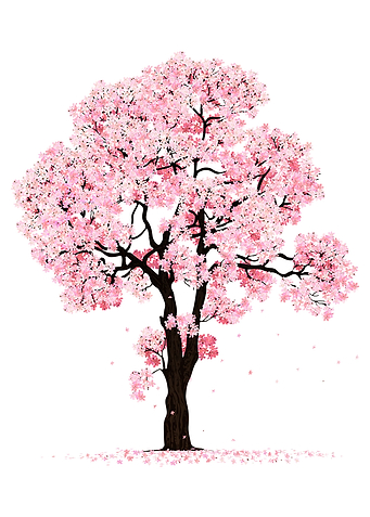 Blossoming pink