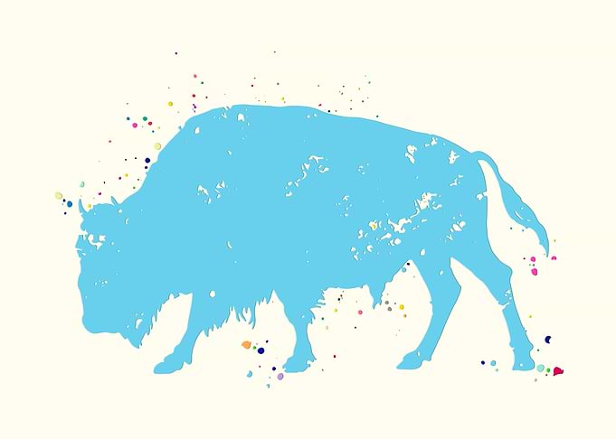 Buffalo
