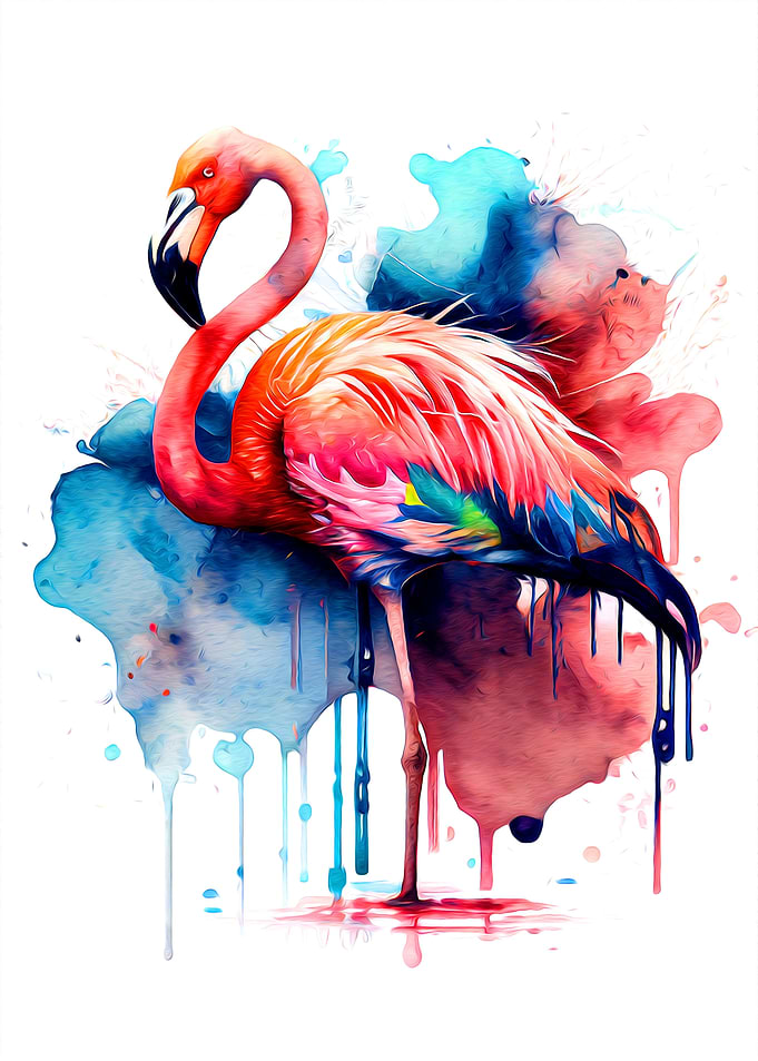 Flamingo