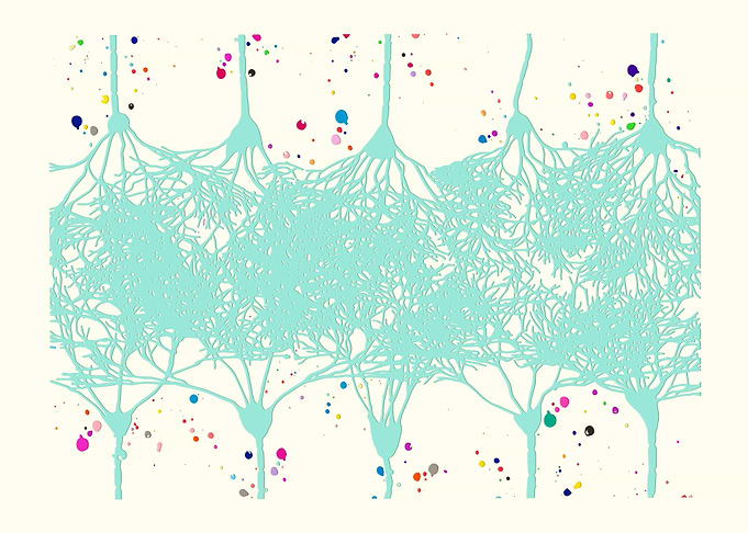 Cortical Neurons