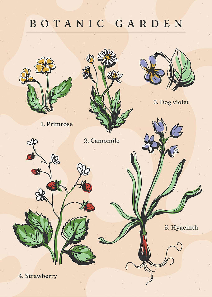 Botanical Plants