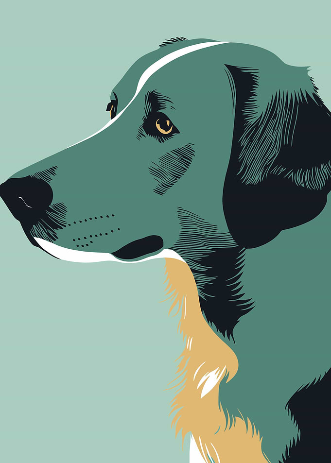 Portraits of dogs