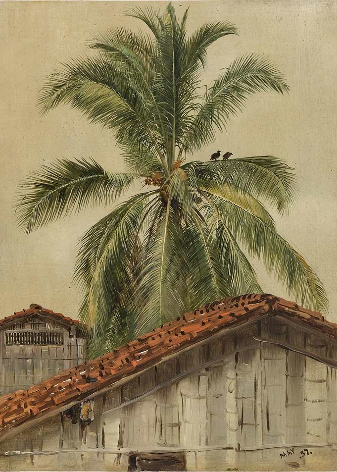 Palm Trees and Housetops