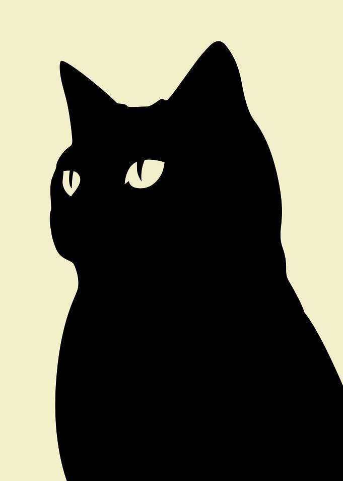 Tomcat