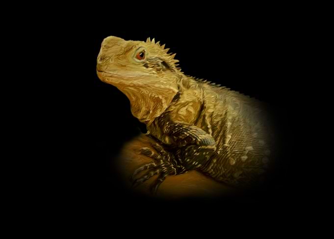 Agama