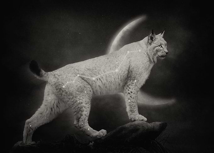 Celestial Lynx Sepia