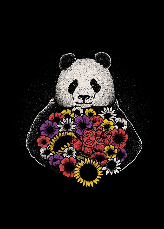 Black and White Panda