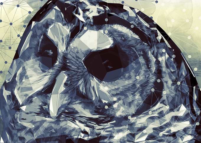 Prismatic Owl Portrait