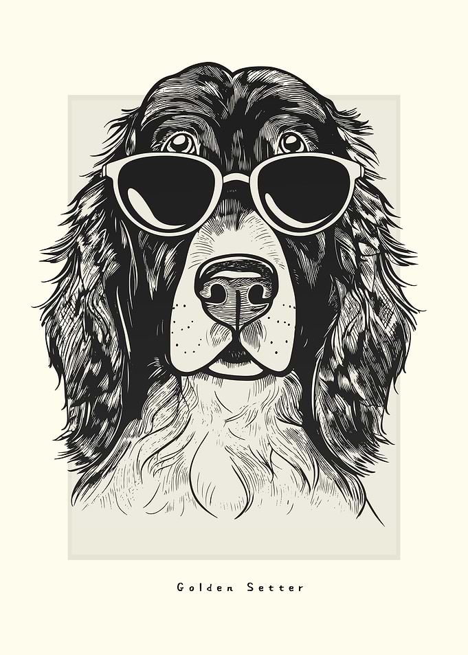 Golden Setter Illustration