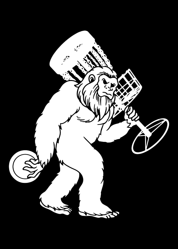 Disc Golf Frisbee Golf