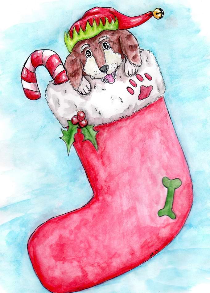 Santa Paws
