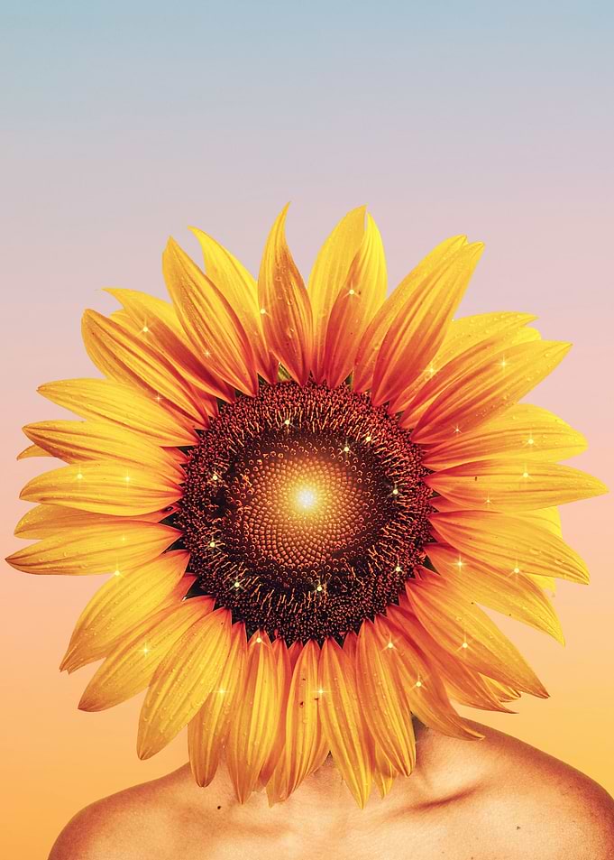Sunflower Surreal Head