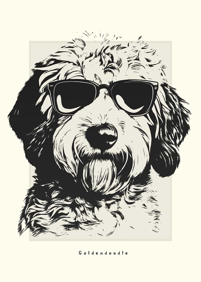 Goldendoodle Illustration