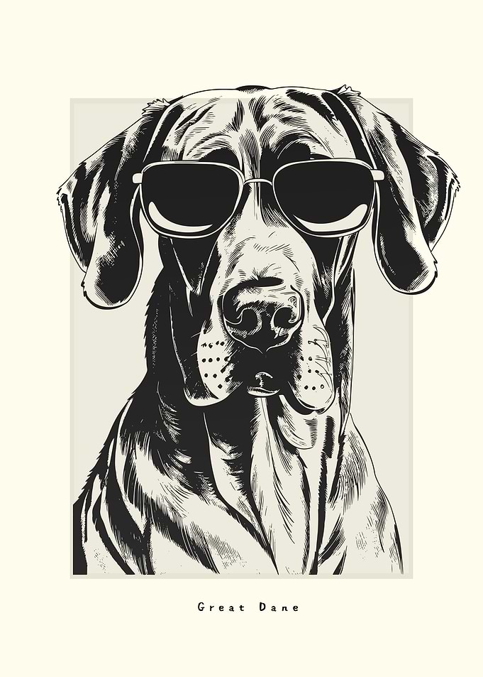 Great Dane Illustration