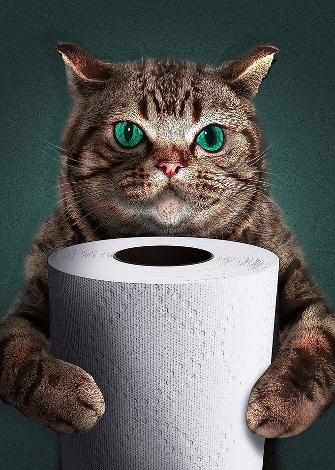 Cat Your Butt Napkins