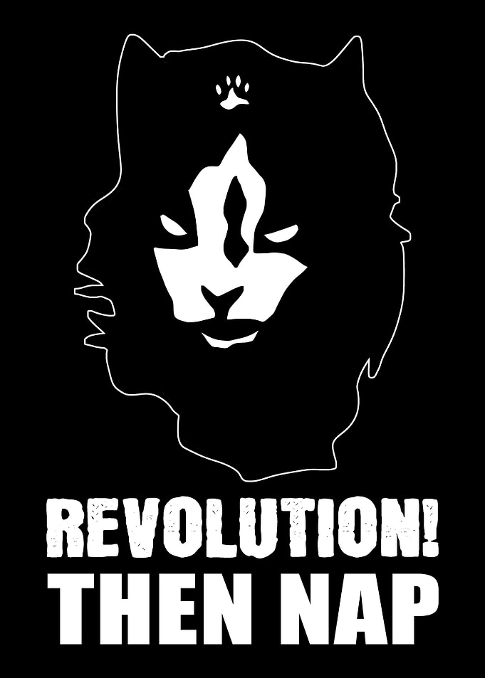 Revolution Then Nap Sleep