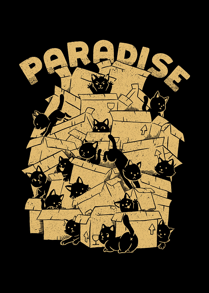 Cat Box Paradise