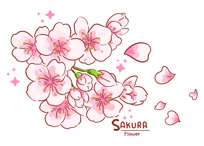 Sakura flowers