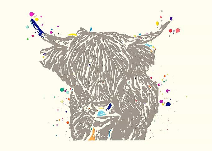Highland Cow Cattle