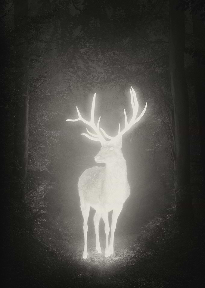 Will O Wisp Sepia