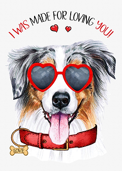 Australian Shepherd Love