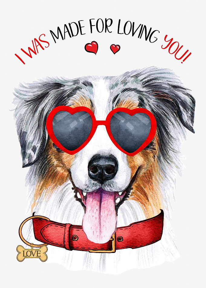 Australian Shepherd Love