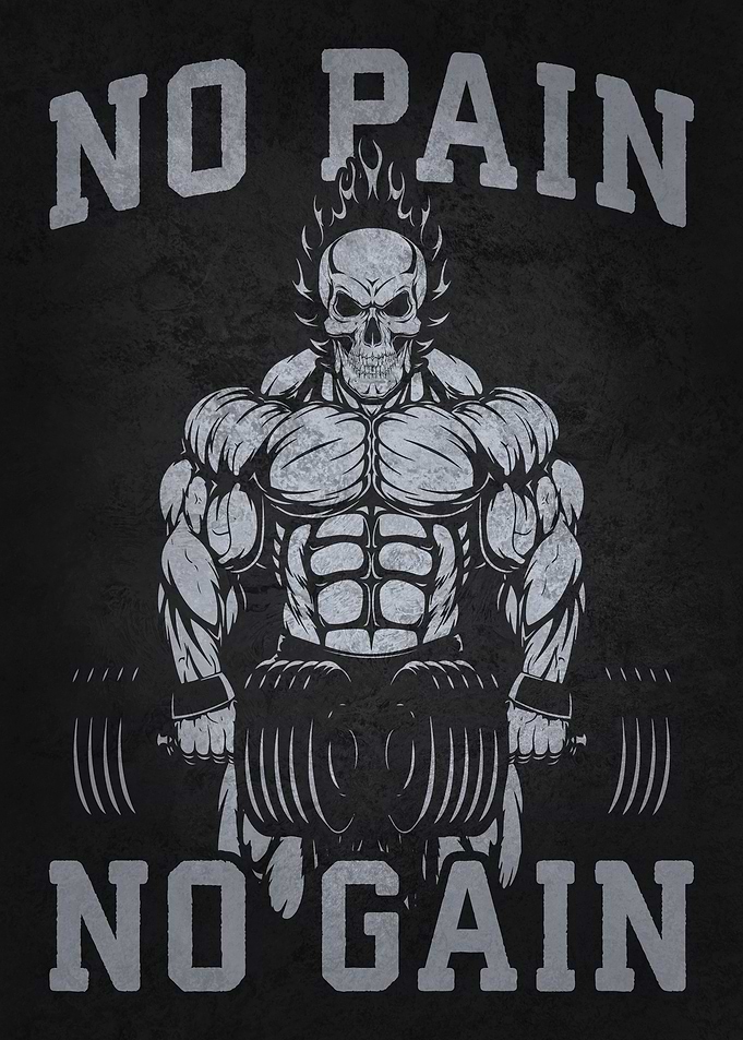 No Pain No Gain Gym