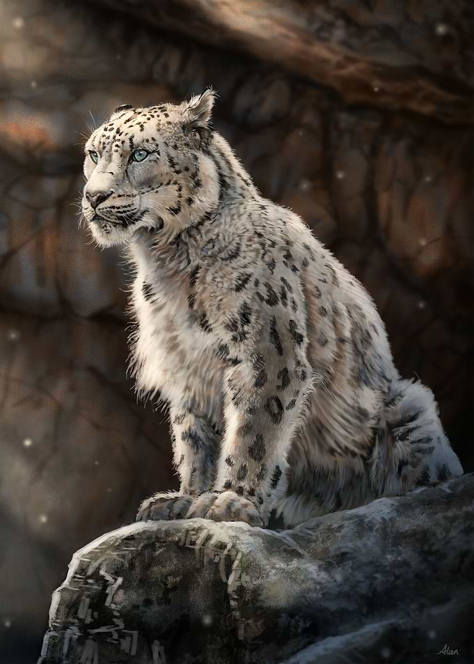 King of the Mountains