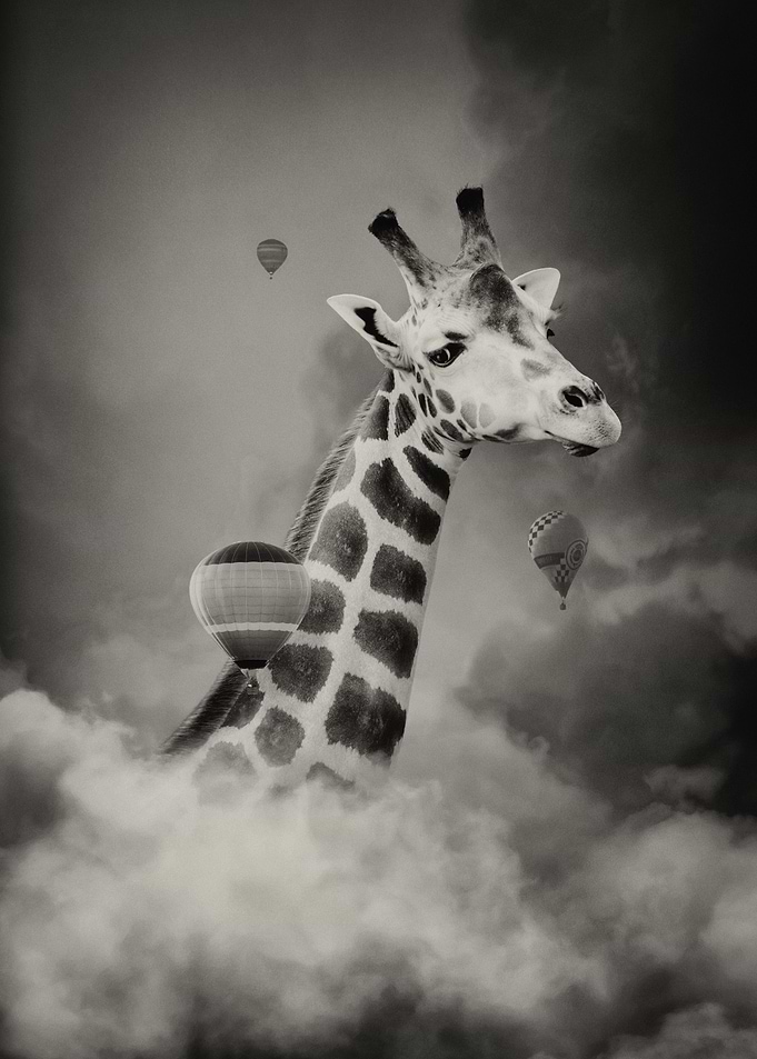 Head Above Clouds II Sepia