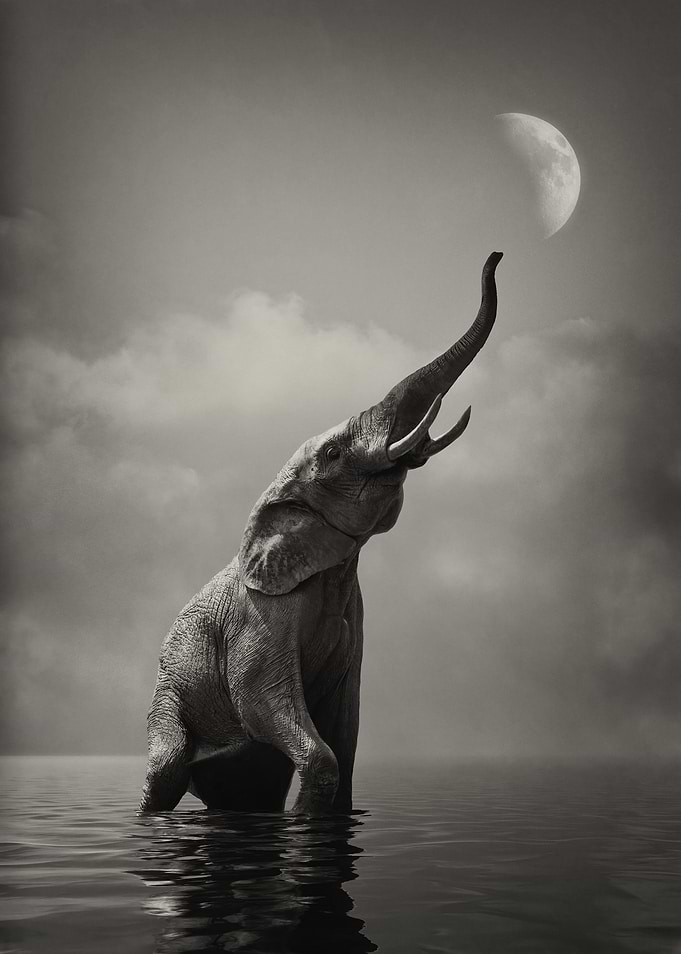 Reach for the Moon Sepia