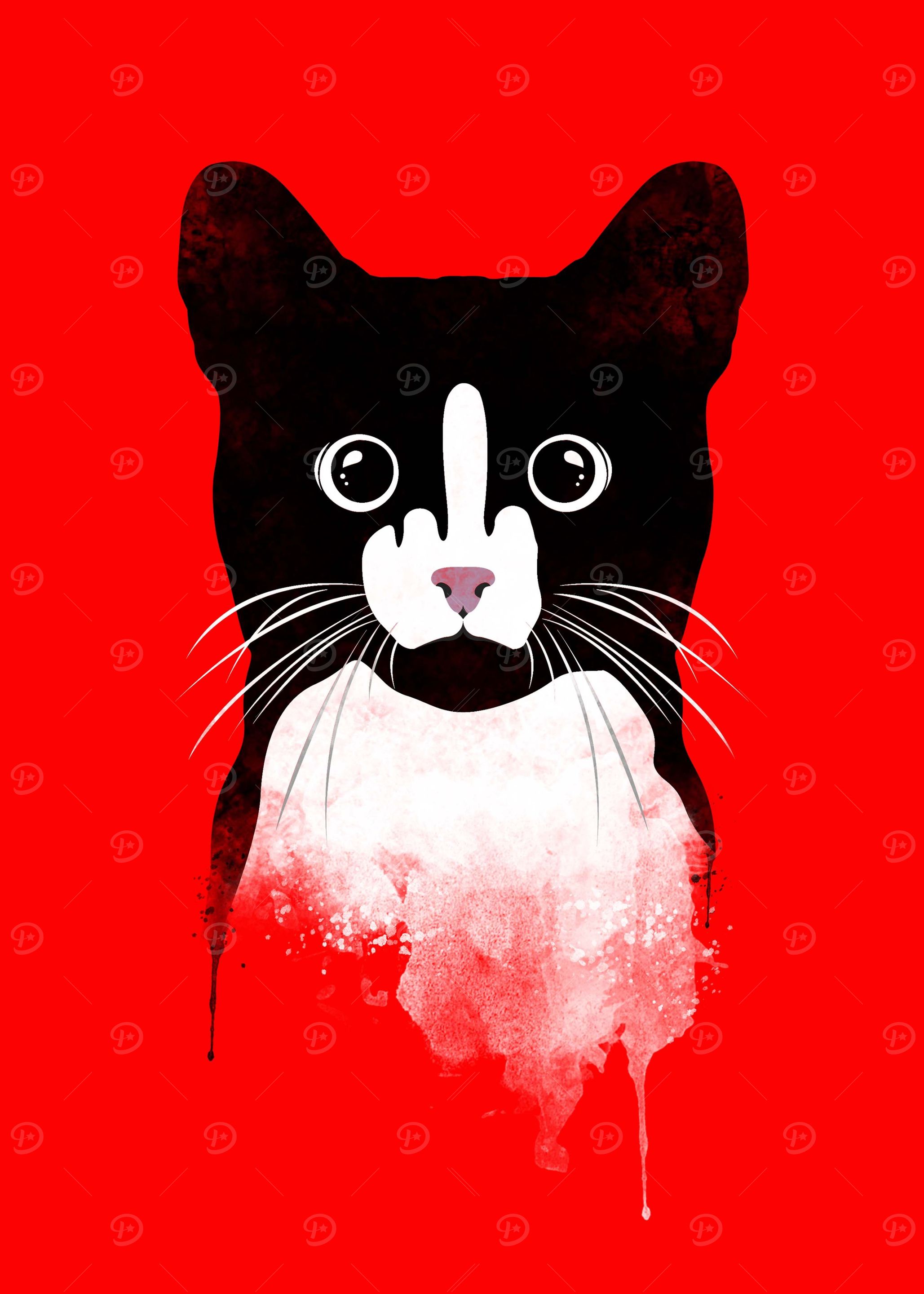the cool Cat