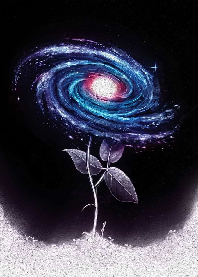 Galaxy Flower Neon Floral