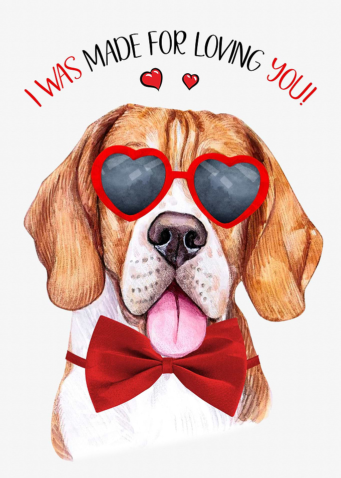Beagle Dog Love