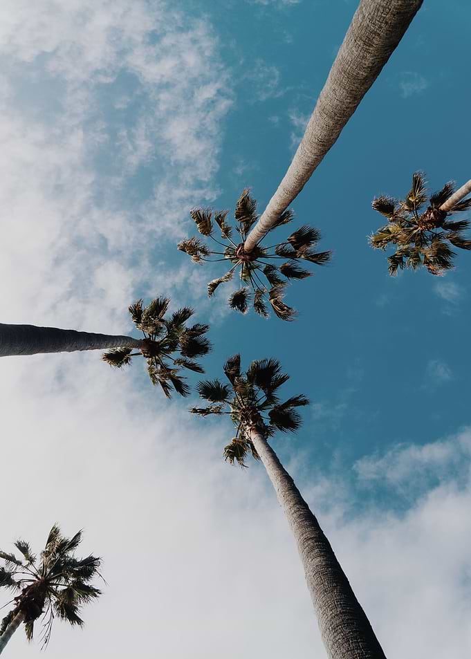 Surf Photography