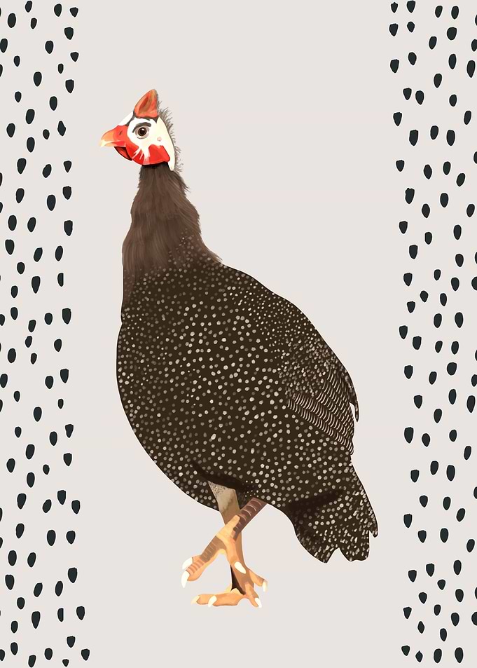 Guinea Fowl Portrait
