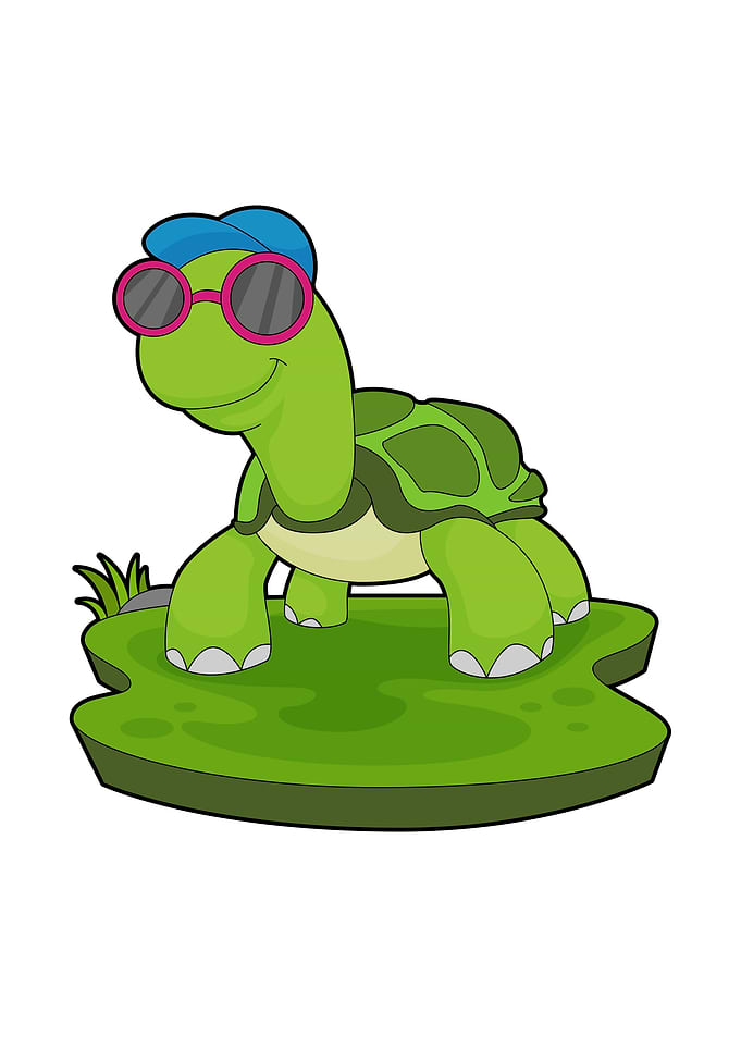 Turtle Cap Sunglasses