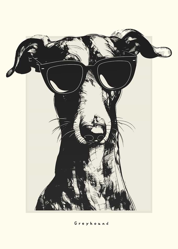 Greyhound Illustration