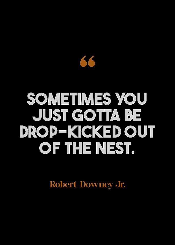 Robert Downey Jr