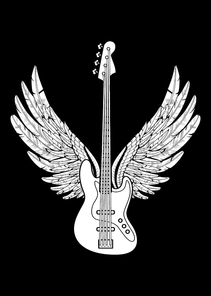Bass Guitar Bassist