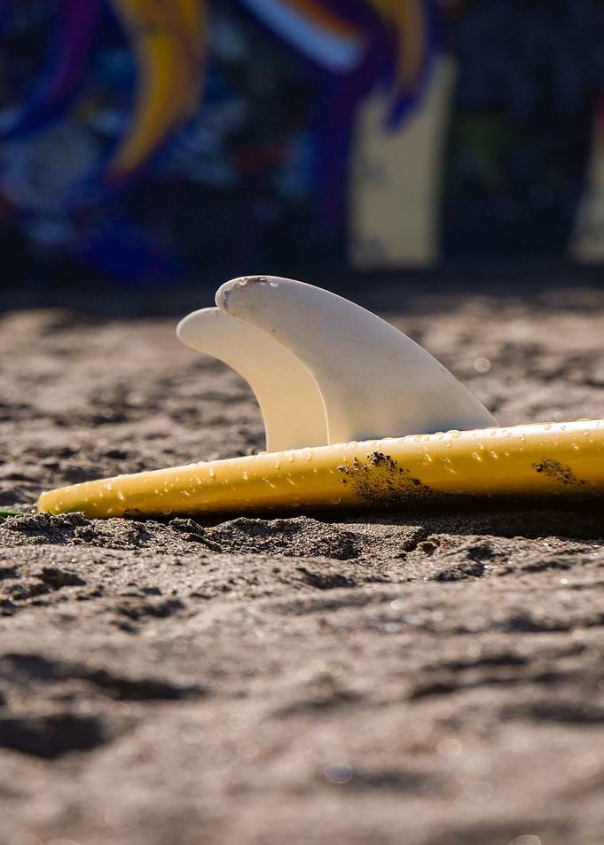 Surf Photography