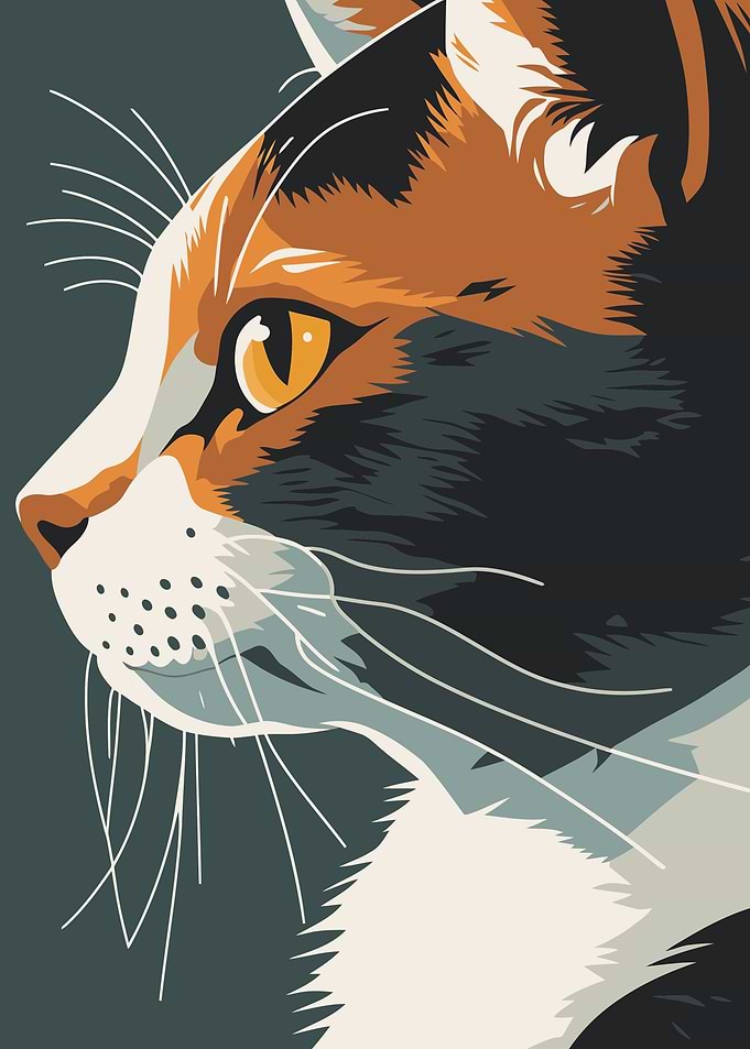 Cute cat