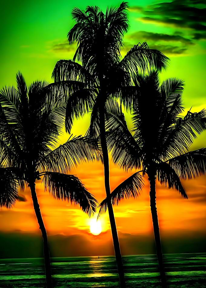Coconut with beach