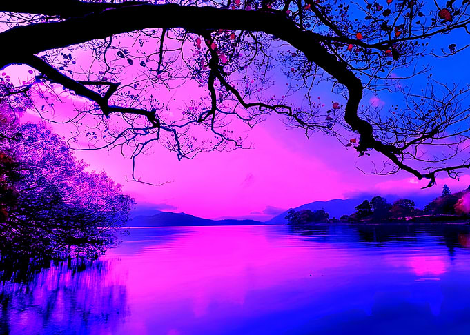 Pink sunset moments